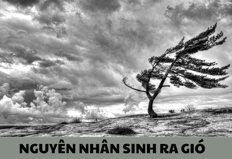 nguyên nhân sinh ra gió