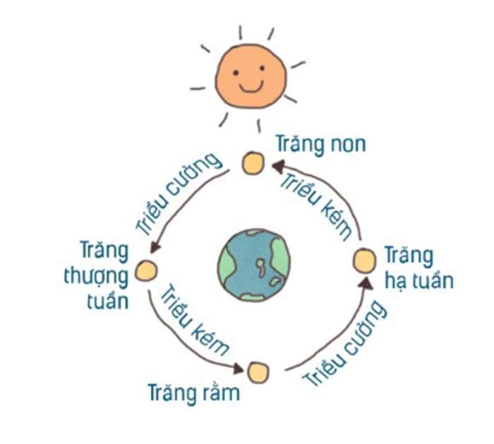 Nguyên nhân tạo ra thủy triều