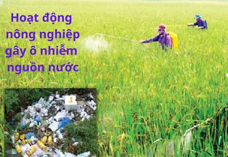 ô nhiễm nguồn nước là gì