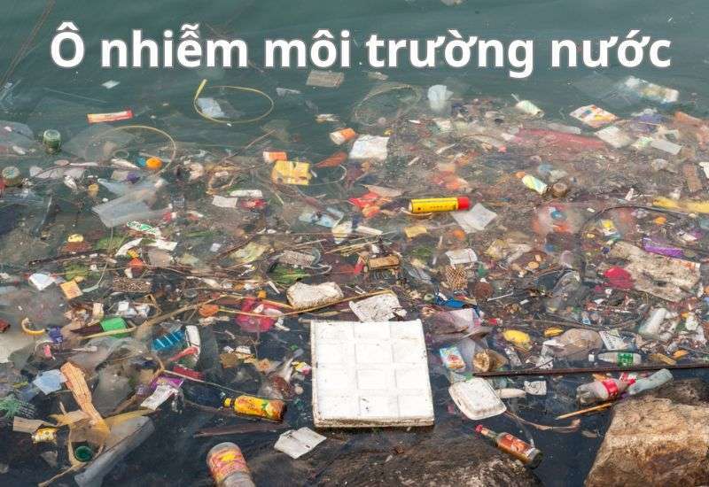 ô nhiễm nước là gì