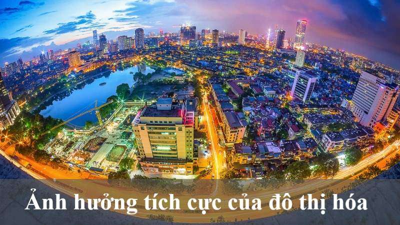 quá trình đô thị hóa gây ra hậu quả gì