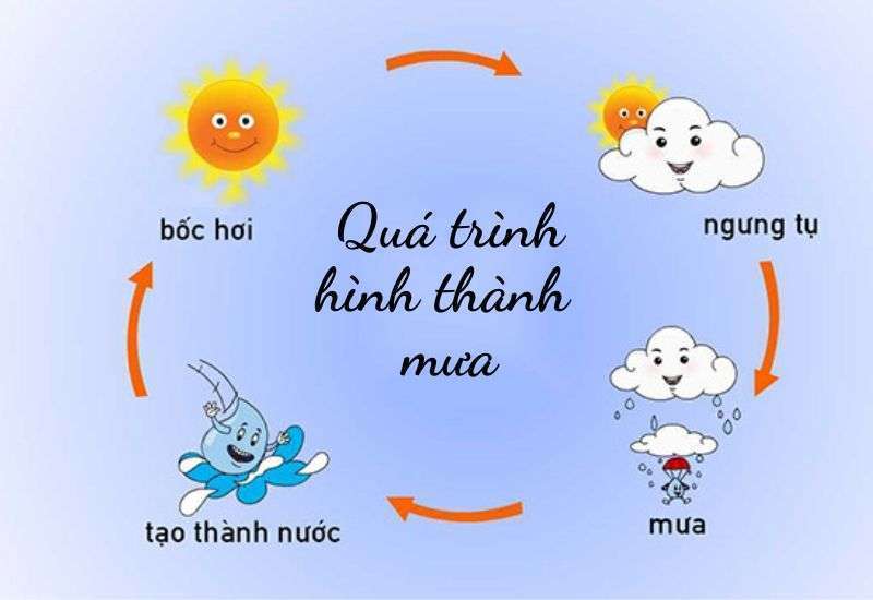quá trình hình thành mưa