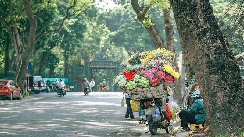 se se lạnh là gì