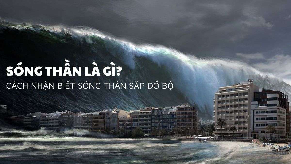 Sóng thần là gì? #7 Cách sớm nhận biết hiện tượng sóng thần sắp xuất hiện