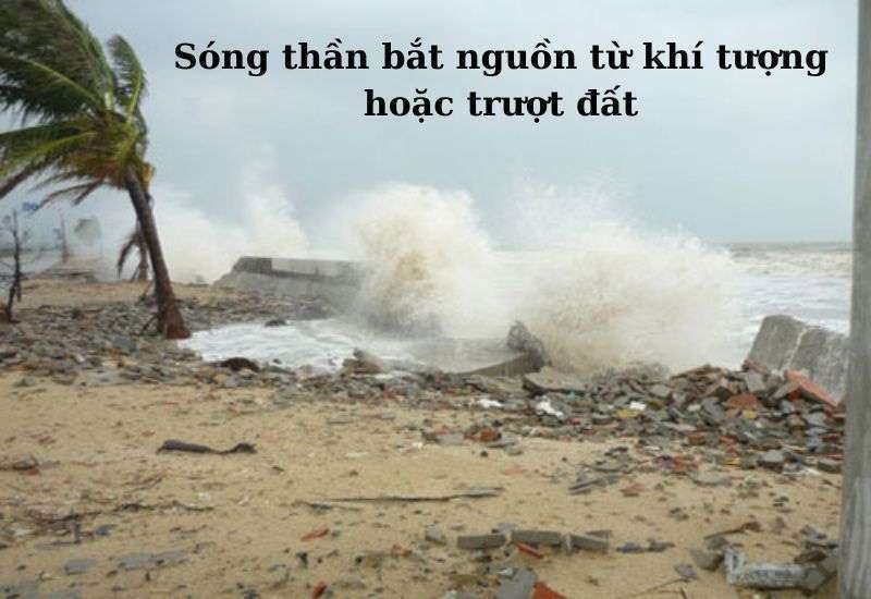 sóng thần việt nam
