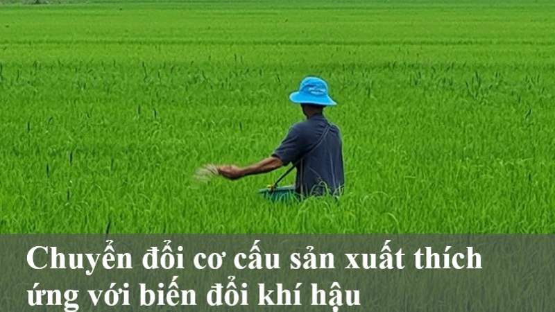 tác động biến đổi khí hậu đến đồng bằng sông cửu long