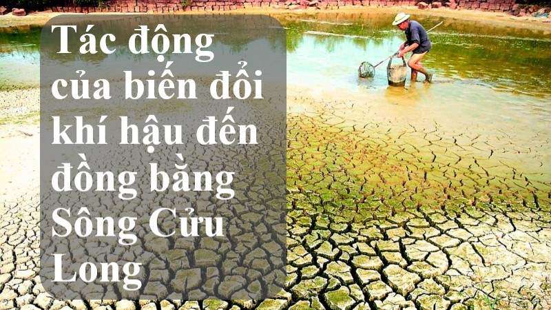 tác động của biến đổi khí hậu đến đồng bằng sông cửu long