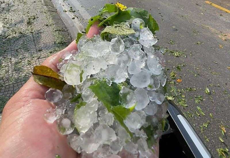 tác hại của mưa đá