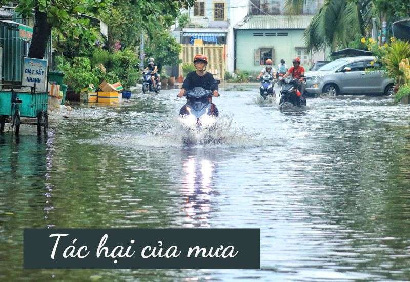 tác hại của mưa