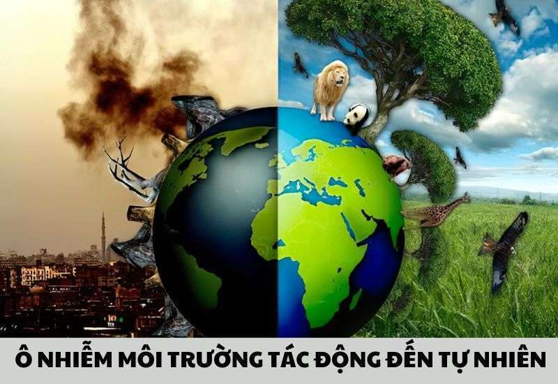 tác hại của ô nhiễm môi trường