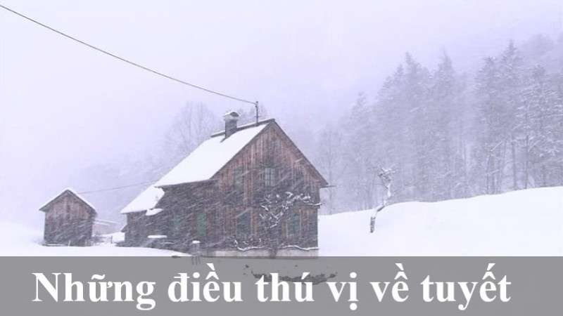 tác hại của tuyết