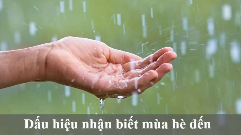 tháng mấy là mùa hè