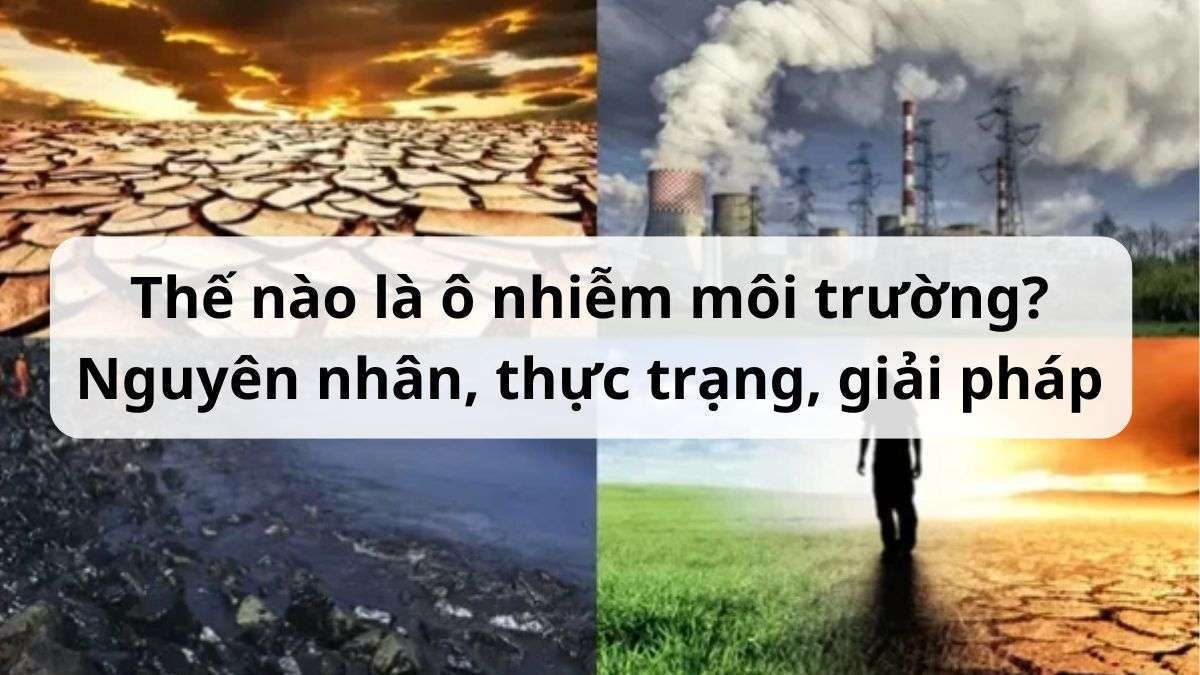 Ô nhiễm môi trường là gì? Tìm hiểu nguyên nhân, cách khắc phục vấn nạn ô nhiễm