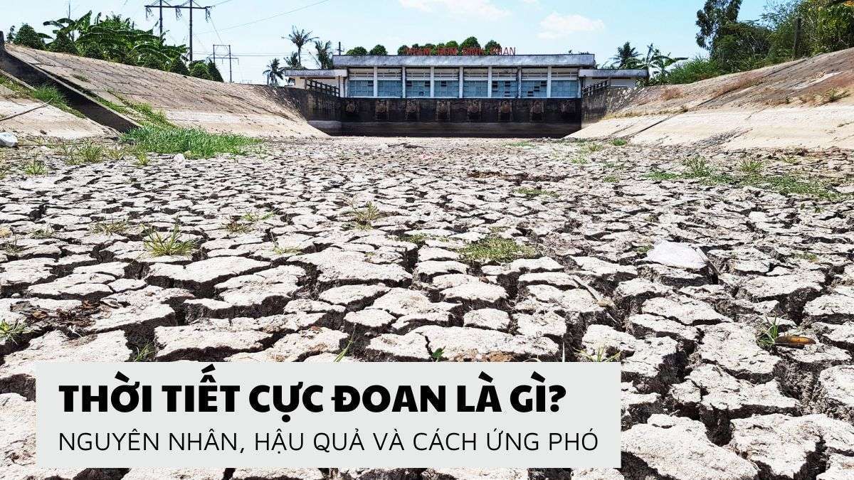 Thời tiết cực đoan là gì? Đánh giá thực trạng các kiểu khí hậu khắc nghiệt hiện nay tại nước ta