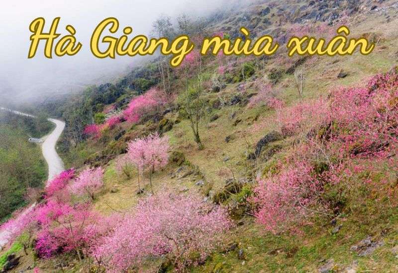 thời tiết hà giang mùa xuân