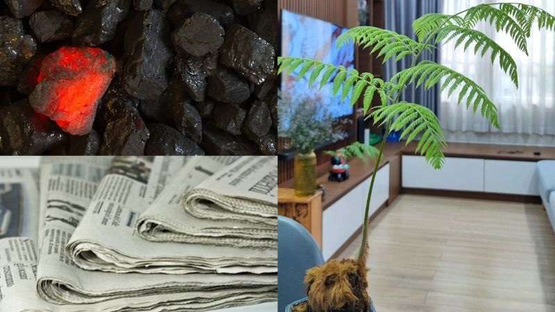 thời tiết nồm ẩm miền bắc