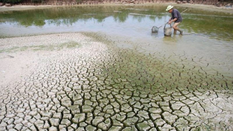 thực trang biến đổi khí hậu việt nam
