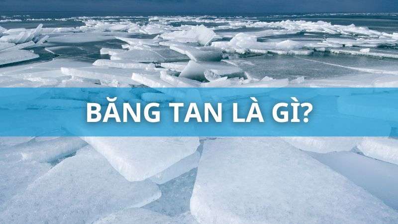 Băng tan là gì? Lý giải nguyên nhân & hậu quả khi băng ở hai cực tan chảy