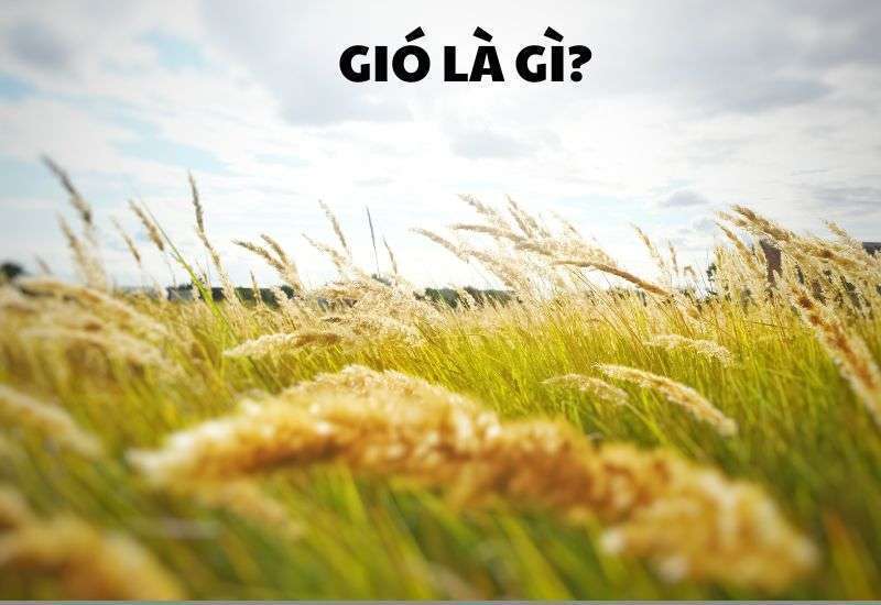 tìm hiểu gió là gì