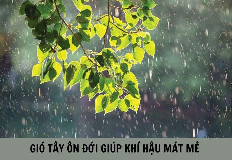 tính chất của gió tây ôn đới là