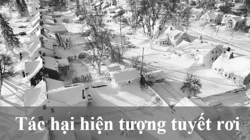 tuyết có lợi hay hại