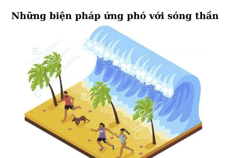 việt nam đã có sóng thần chưa