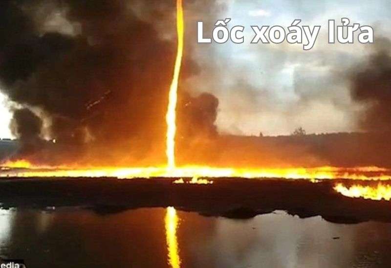 vòi rồng là gì