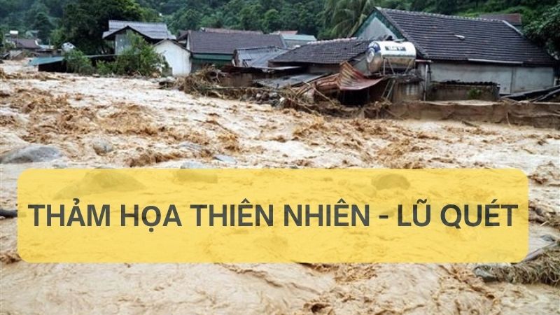 Lũ quét là gì? Nguyên nhân hình thành & cách phòng chống 5 dạng lũ quét thường gặp nhất