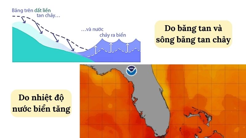 Nguyên nhân nước biển dâng