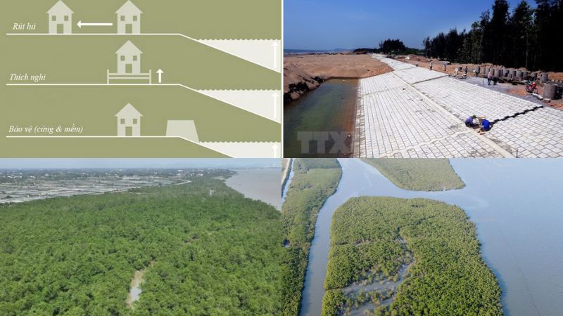 Các biện pháp ngăn chặn nước biển dâng