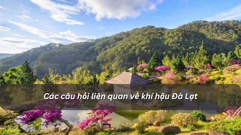 Câu hỏi về Đà Lạt