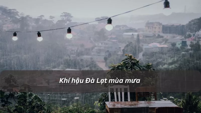 Đà Lạt mùa mưa