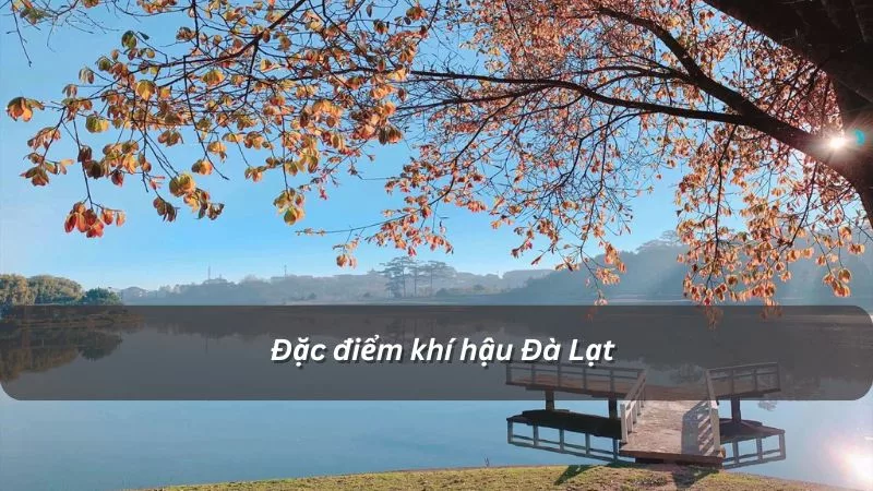 Khí hậu Đà Lạt mùa nào đẹp nhất? Đánh giá tổng quan 12 tháng theo các chỉ số