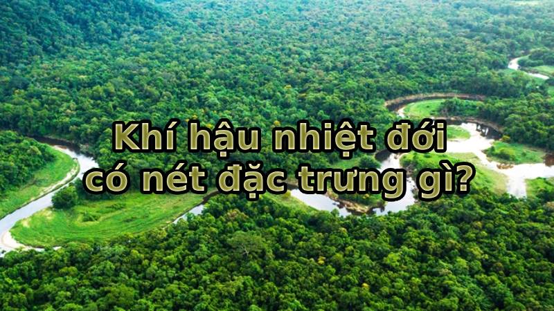 khí hậu nhiệt đới là gì
