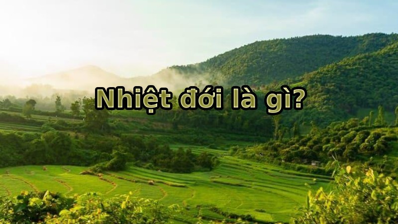 khí hậu nhiệt đới