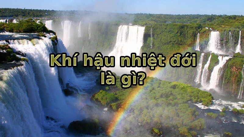 Khí hậu nhiệt đới là gì? Các đặc điểm đặc trưng của vùng nhiệt đới