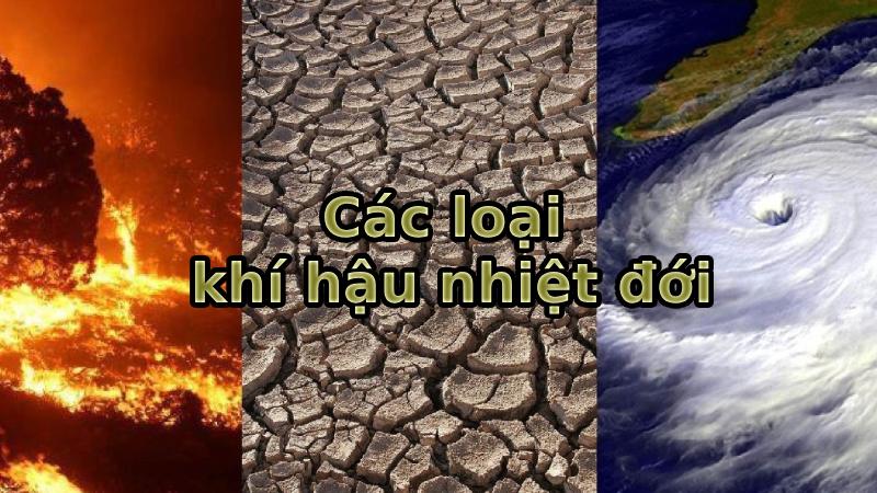 nhiệt đới