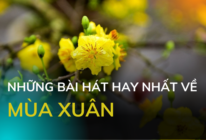 Tổng hợp những bài hát về mùa xuân hay, ý nghĩa & rộn ràng cho dịp Tết thêm vui tươi