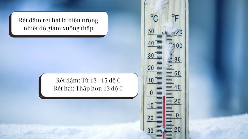 Rét đậm rét hại là gì? Những cách phòng chống rét hiệu quả trong mùa đông lạnh giá