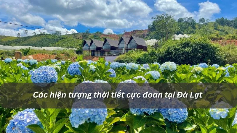 Thời tiết cực đoan Đà Lạt