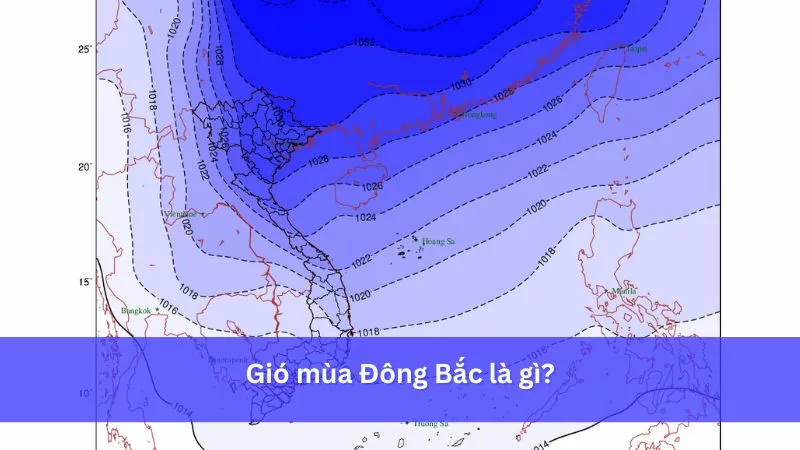 Gió mùa Đông Bắc là gì? Tìm hiểu nguồn gốc, đặc điểm và thời gian hoạt động của gió Bấc