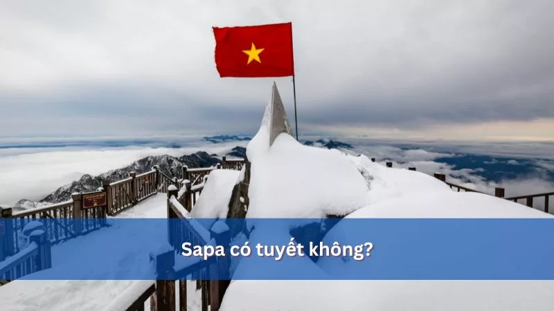 Sapa có tuyết không? Dấu hiệu và thời điểm dễ “săn” tuyết rơi nhất tại Sapa